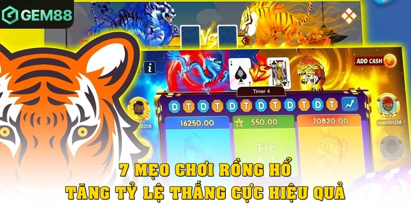 7 mẹo chơi Rồng Hổ tăng tỷ lệ thắng cực hiệu quả